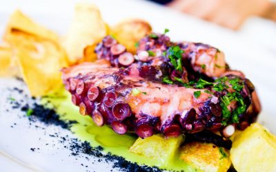 Octopus – an ideal ingredient of ingenious food enthusiasts
