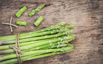 Asparagus – explore menus with the Mediterranean delicacy