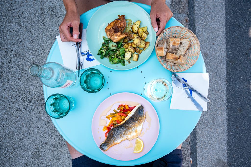 gilthead sea bream