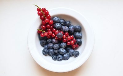 Authentic Croatian appetizers of blueberries and red currants