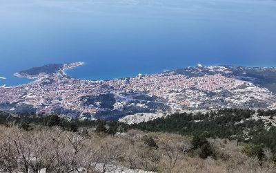 Makarska – Gastronomy and Accommodation