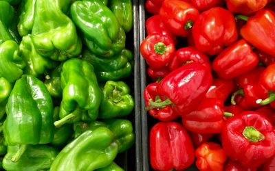 Peppers – from side dishes, through main courses, to marinades