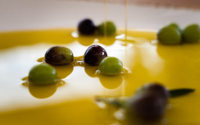 Maslinovo ulje kao inspiracija moderne hrvatske kuhinje