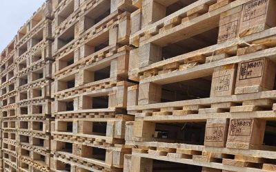 Nove ili rabljene palete? Odluka koja može utjecati i na troškove i na održivost poslovanja